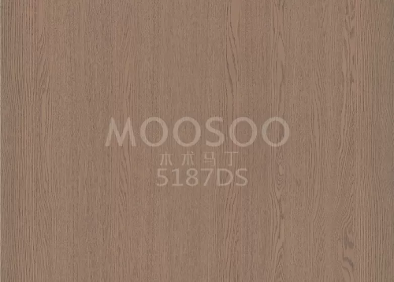 Nástenný panel z rustikálneho bieleho brestového dreva: nadčasová elegancia sa stretáva s modernou funkčnosťou